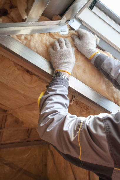Best DIY Insulation Kits and Guidance in Pittston, PA