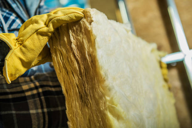Best Eco-Friendly Insulation in Pittston, PA